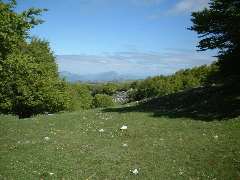 ancora foto dai simbruini